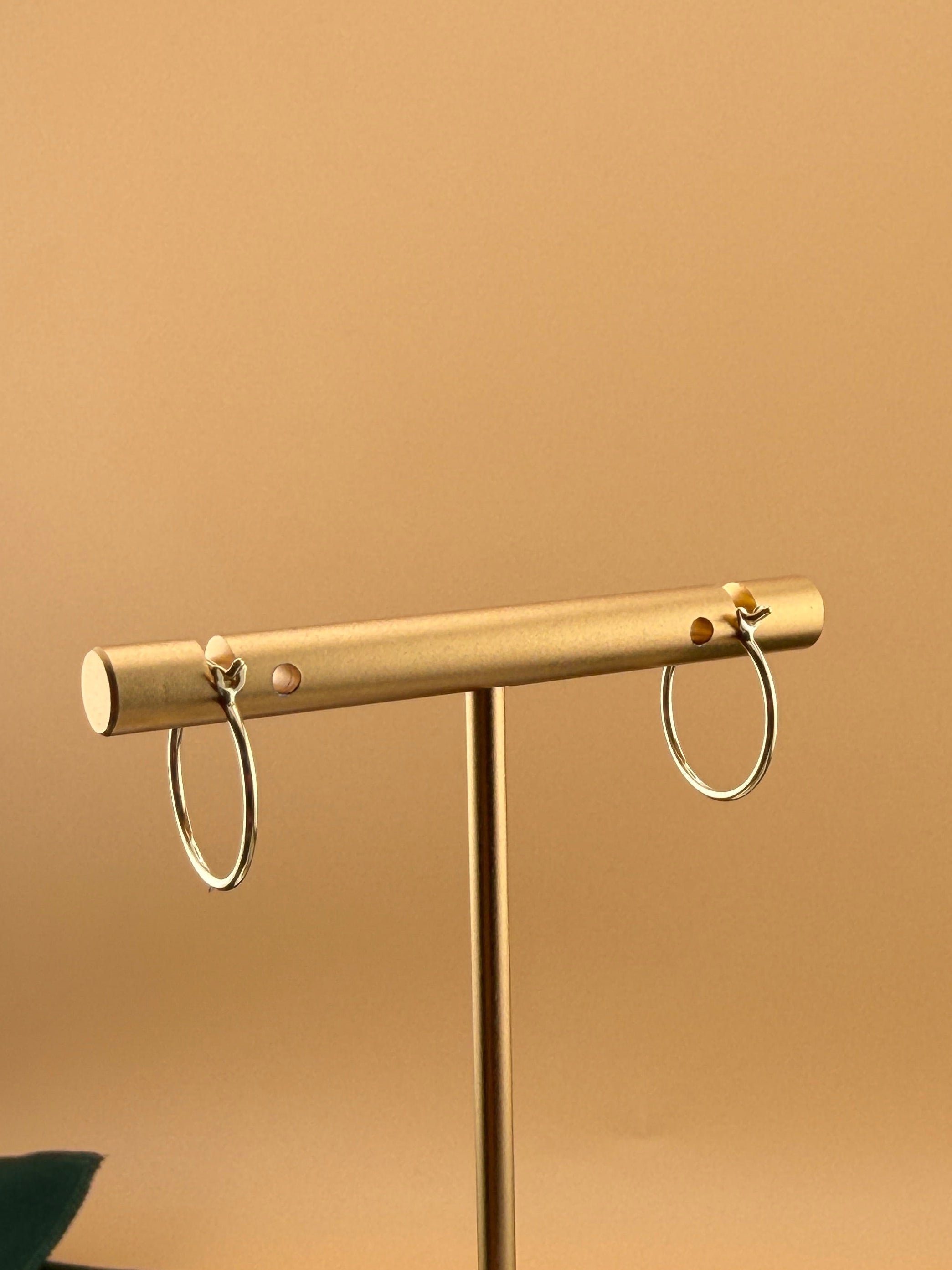 Hoop Earrings