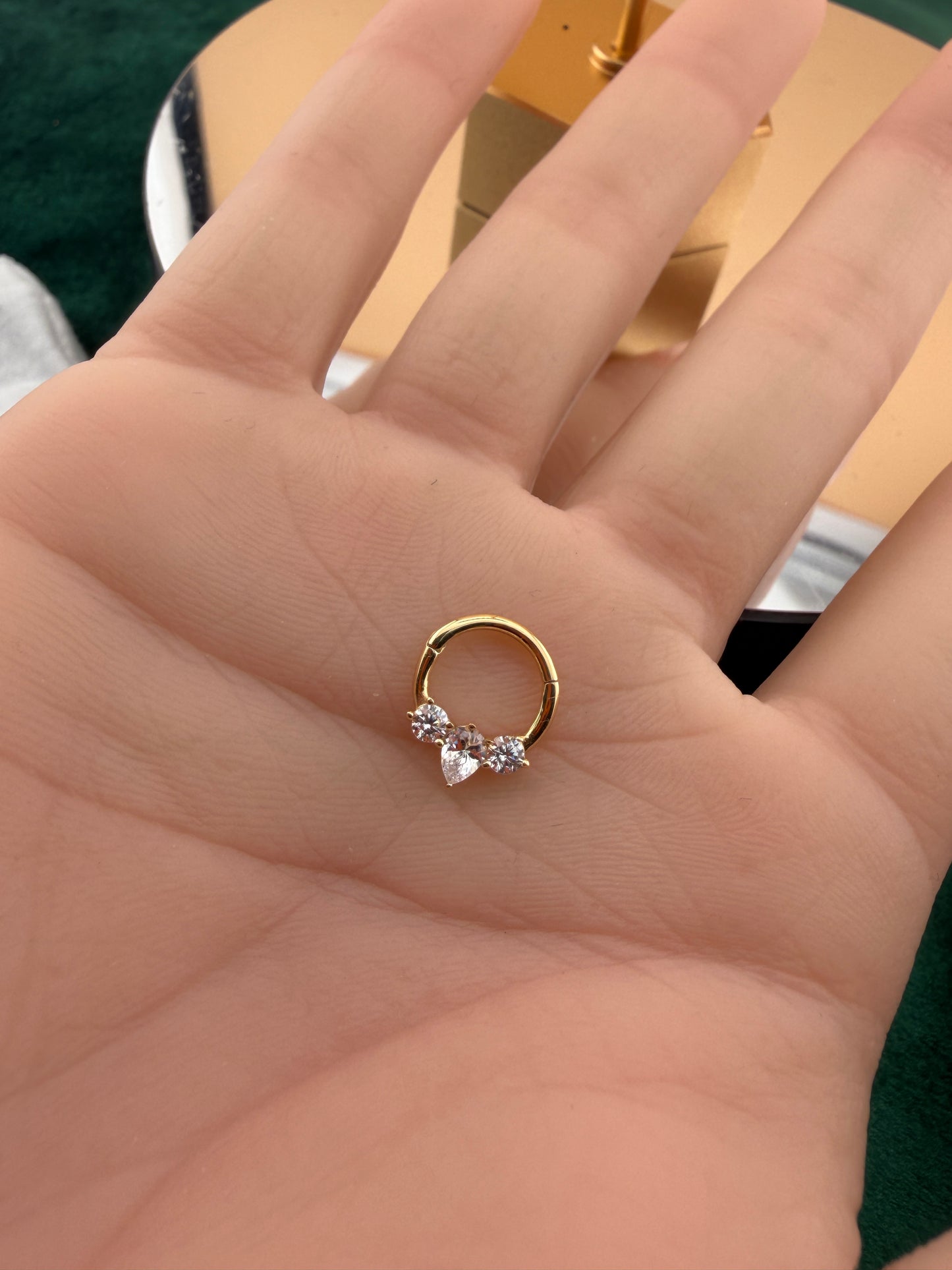 Nose Hoop & Piercing