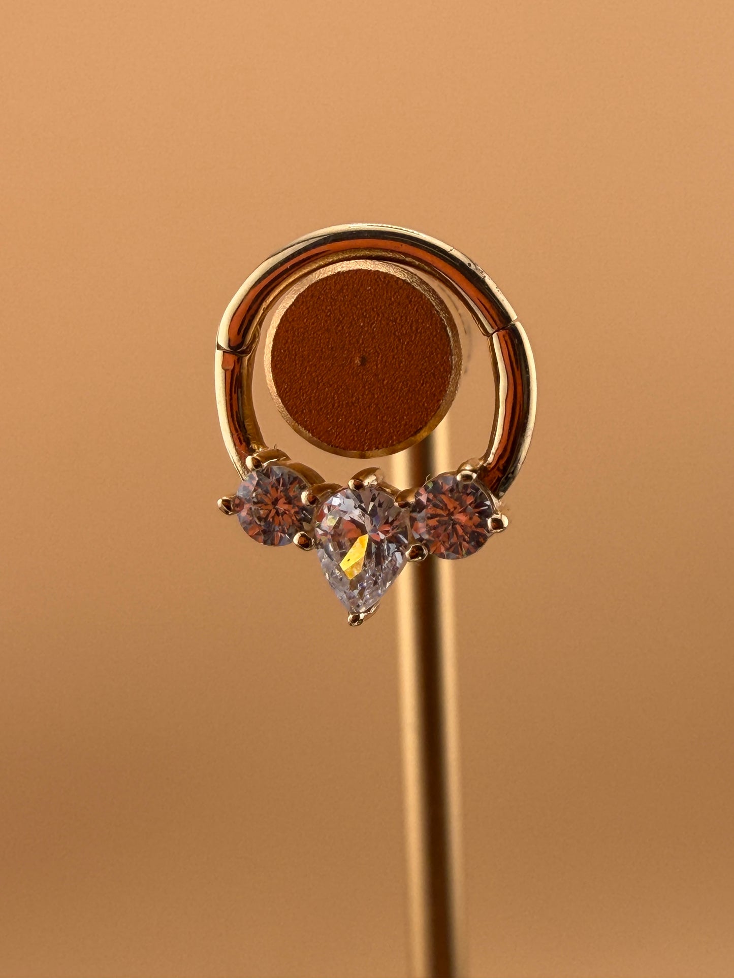 Nose Hoop & Piercing