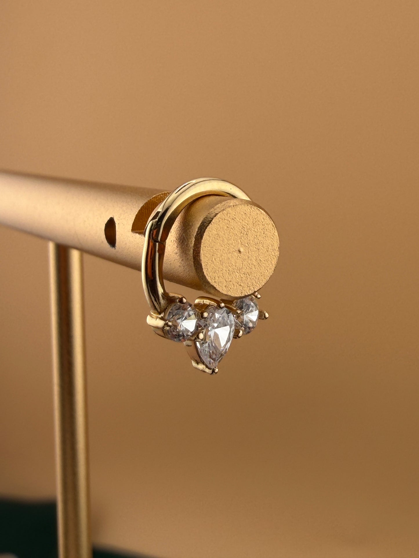 Nose Hoop & Piercing