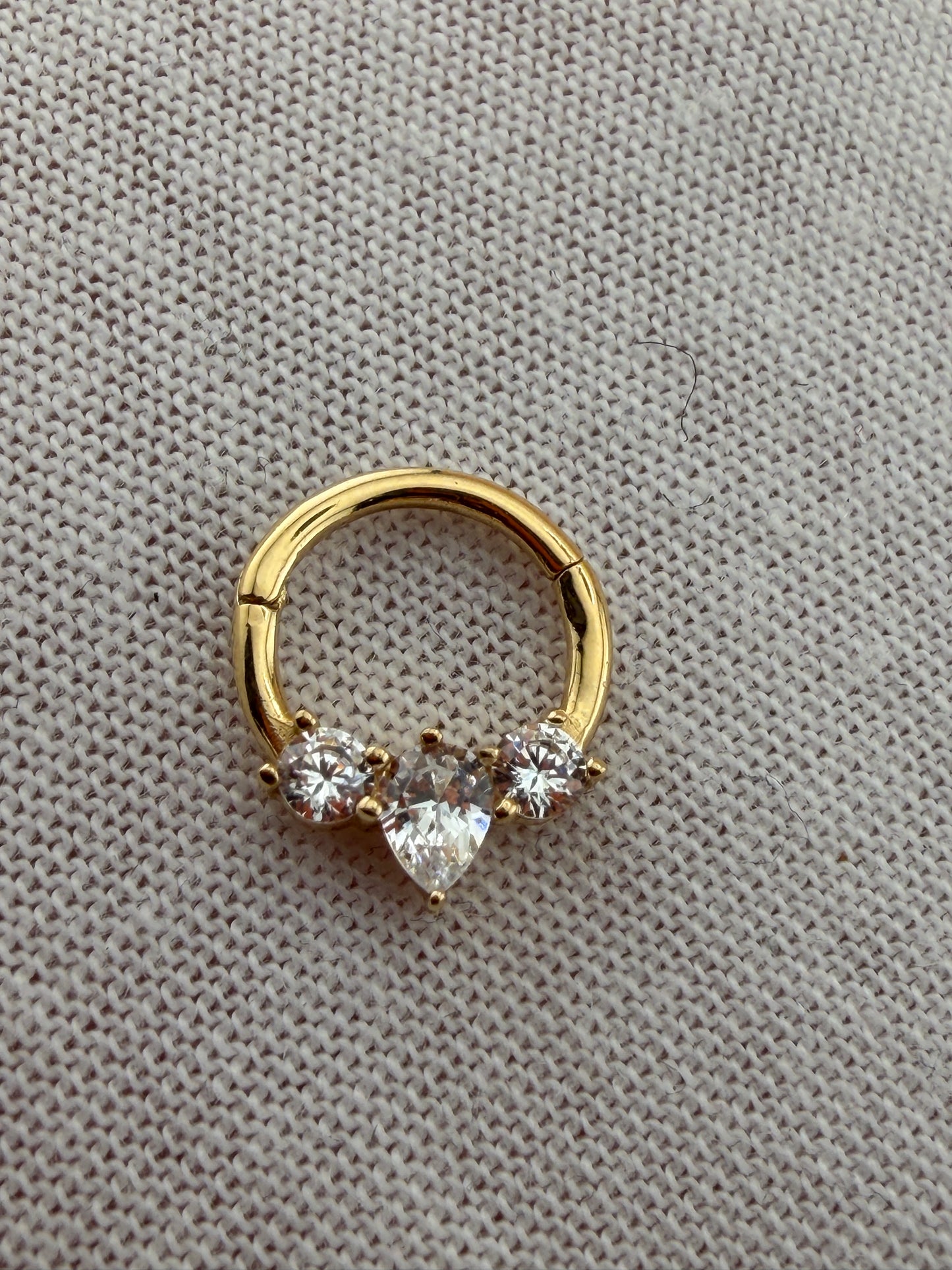 Nose Hoop & Piercing