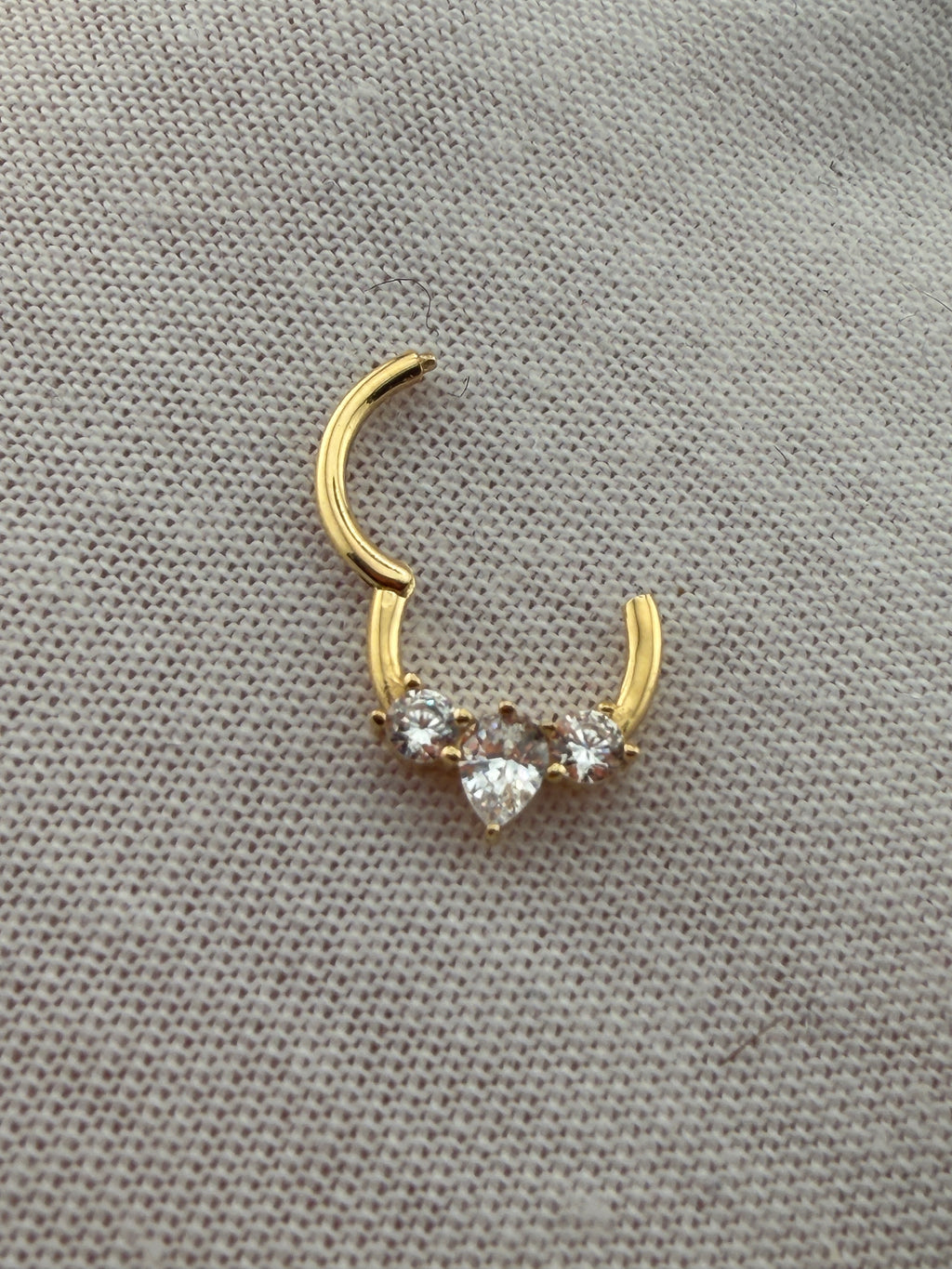 Nose Hoop & Piercing