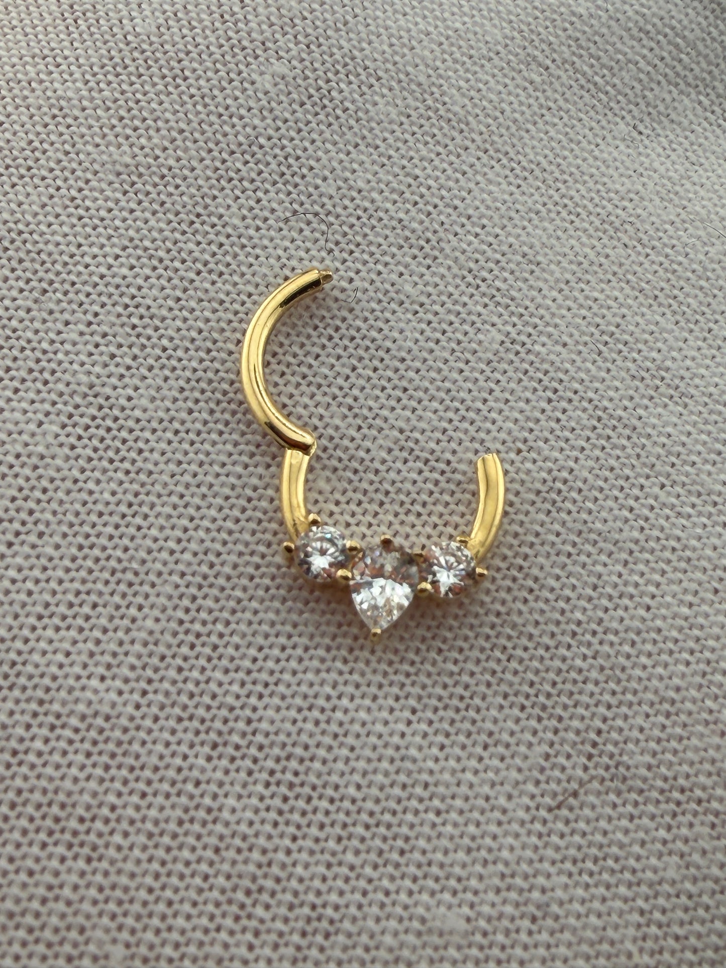 Nose Hoop & Piercing