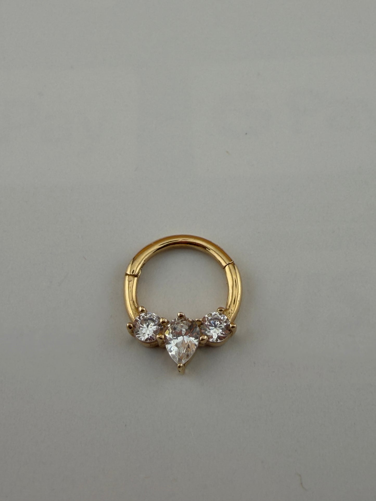 Nose Hoop & Piercing